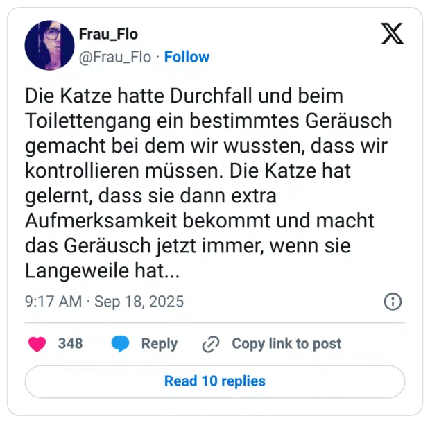 Die Katze hatte Durchfall und beim Toilettengang ein bestimmtes Geräusch gemacht bei dem wir wussten, dass wir kontrollieren müssen. Die Katze hat gelernt, dass sie dann extra Aufmerksamkeit bekommt und macht das Geräusch jetzt immer, wenn sie Langeweile hat...
