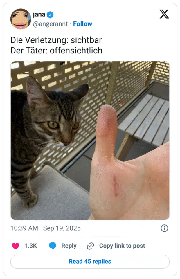 Die Verletzung: sichtbar Der Täter: offensichtlich