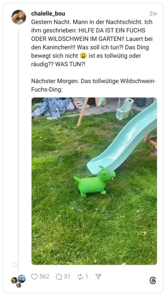 Gestern Nacht. Mann in der Nachtschicht. Ich ihm geschrieben: HILFE DA IST EIN FUCHS ODER WILDSCHWEIN IM GARTEN!! Lauert bei den Kaninchen!!! Was soll ich tun?! Das Ding bewegt sich nicht 😩 ist es tollwütig oder räudig?? WAS TUN?! Nächster Morgen. Das tollwütige Wildschwein-Fuchs-Ding: