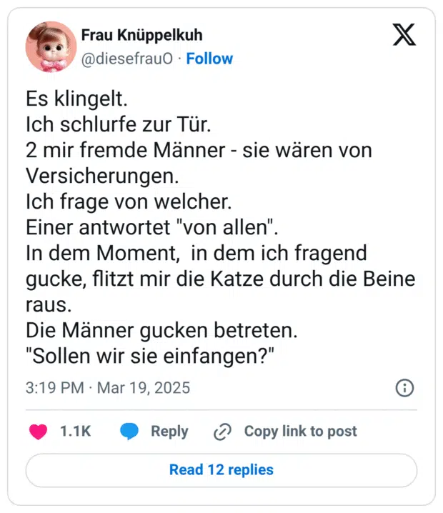 Es klingelt. Ich schlurfe zur Tür. 2 mir fremde Männer - sie wären von Versicherungen. Ich frage von welcher. Einer antwortet "von allen". In dem Moment, in dem ich fragend gucke, flitzt mir die Katze durch die Beine raus. Die Männer gucken betreten. "Sollen wir sie einfangen?"
