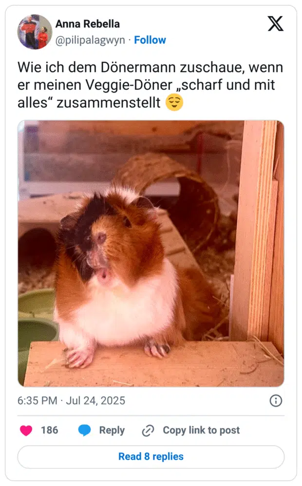 Wie ich dem Dönermann zuschaue, wenn er meinen Veggie-Döner „scharf und mit alles“ zusammenstellt 😌