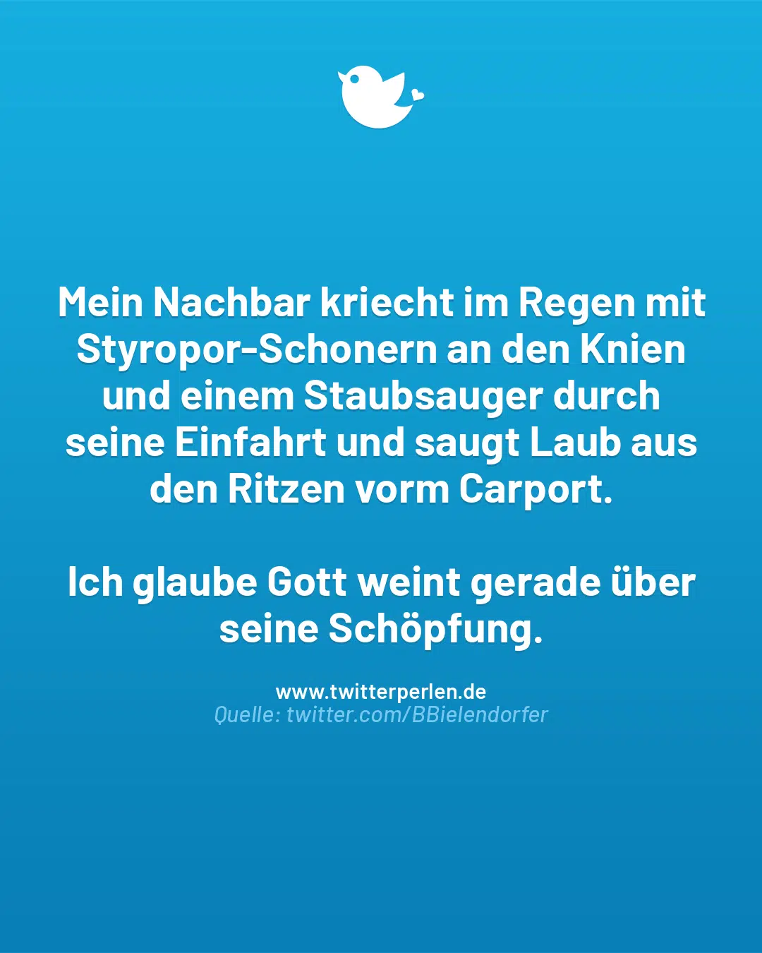 Mein Nachbar kriecht im Regen mit Styropor-Schonern an den Knien und einem Staubsauger durch seine Einfahrt und saugt Laub aus den Ritzen vorm Carport.
Ich glaube Gott weint gerade über seine Schöpfung.