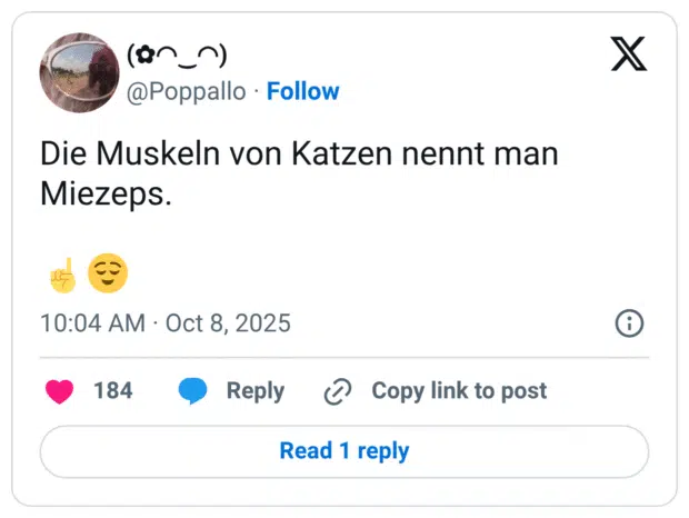 Die Muskeln von Katzen nennt man Miezeps.