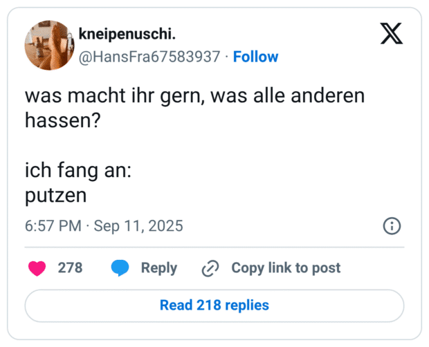 was macht ihr gern, was alle anderen hassen? ich tang an: putzen