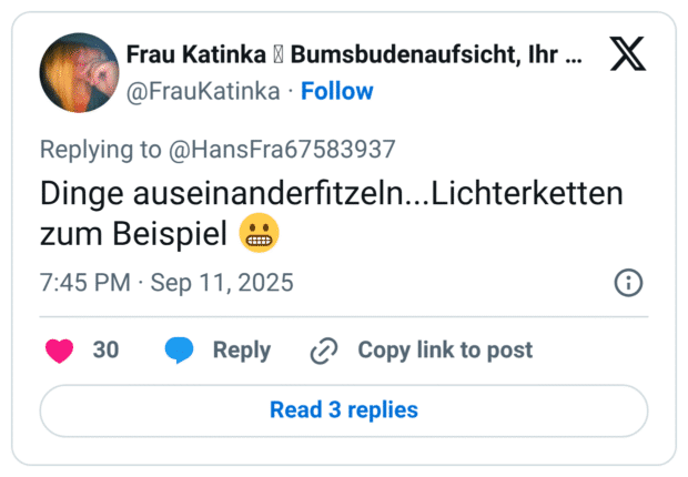 Dinge auseinanderfitzeln...Lichterketten zum Beispiel