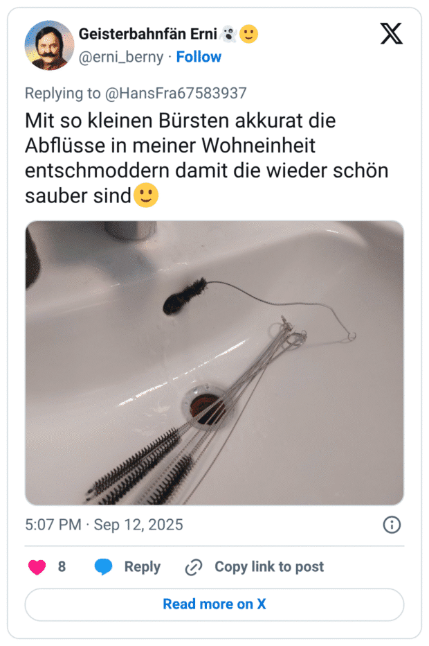 Mit so kleinen Bürsten akkurat die Abflüsse in meiner Wohneinheit entschmoddern damit die wieder schön sauber sind