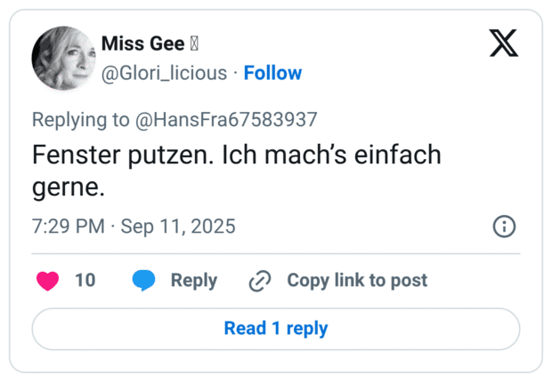 Fenster putzen. Ich mach's einfach gerne.