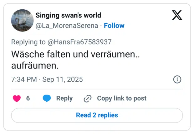 Wäsche falten und verräumen.. aufräumen.