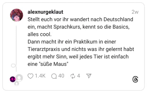 Stellt euch vor ihr wandert nach Deutschland ein, macht Sprachkurs, kennt so die Basics, alles cool. Dann macht ihr ein Praktikum in einer Tierarztpraxis und nichts was ihr gelernt habt ergibt mehr Sinn, weil jedes Tier ist einfach eine "süße Maus"