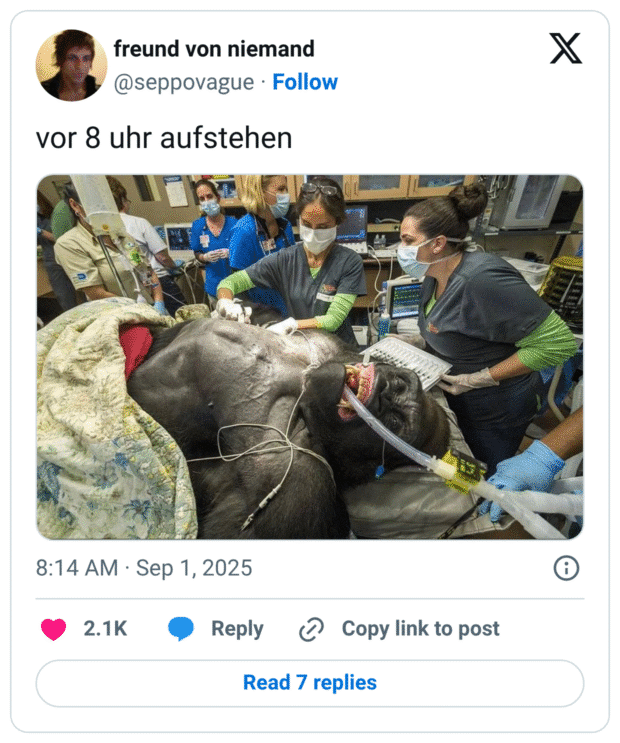 vor 8 uhr aufstehen