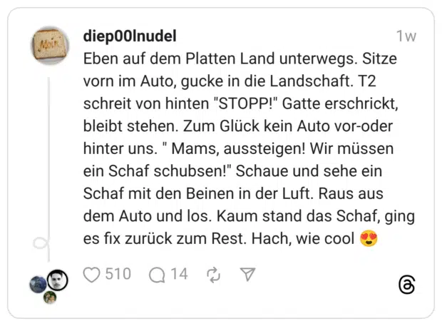 Eben auf dem Platten Land unterwegs. Sitze vorn im Auto, gucke in die Landschaft. T2 schreit von hinten "STOPP!" Gatte erschrickt, bleibt stehen. Zum Glück kein Auto vor-oder hinter uns. ein Schaf schubsen!" Schaue und sehe ein Schaf mit den Beinen in der Luft. Raus aus dem Auto und los. Kaum stand das Schaf, ging es fix zurück zum Rest. Hach, wie cool