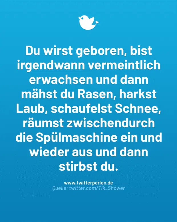 Du wirst geboren, bist irgendwann vermeintlich erwachsen und dann mähst du Rasen, harkst Laub, schaufelst Schnee, räumst zwischendurch die Spülmaschine ein und wieder aus und dann stirbst du.