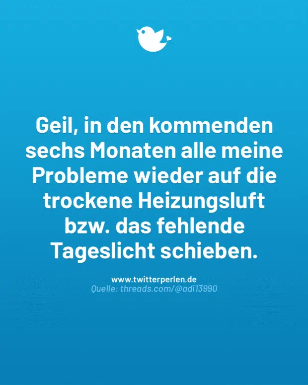 Geil, in den kommenden sechs Monaten alle meine Probleme wieder auf die trockene Heizungsluft bzw. das fehlende Tageslicht schieben.