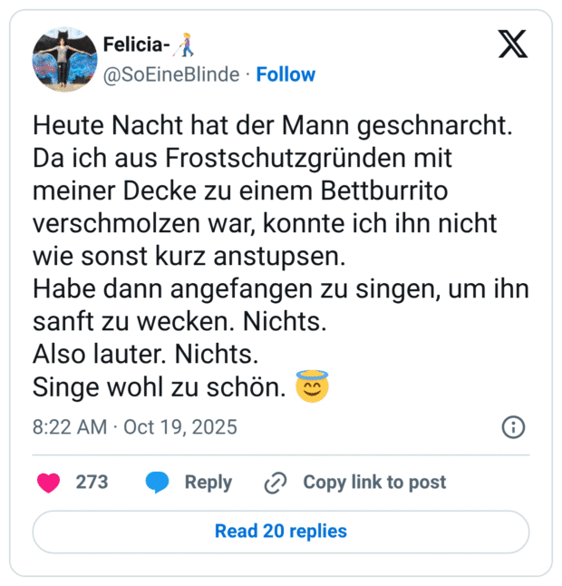 Heute Nacht hat der Mann geschnarcht. Da ich aus Frostschutzgründen mit meiner Decke zu einem Bettburrito verschmolzen war, konnte ich ihn nicht wie sonst kurz anstupsen. Habe dann angefangen zu singen, um ihn sanft zu wecken. Nichts. Also lauter. Nichts. Singe wohl zu schön.