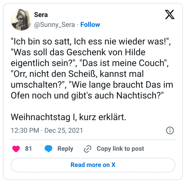 "Ich bin so satt, Ich ess nie wieder was!", "Was soll das Geschenk von Hilde eigentlich sein?", "Das ist meine Couch", "Orr, nicht den Scheiß, kannst mal umschalten?", "Wie lange braucht Das im Ofen noch und gibt's auch Nachtisch?" Weihnachtstag I, kurz erklärt.