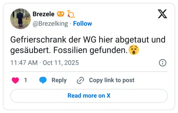 Gefrierschrank der WG hier abgetaut und gesäubert. Fossilien gefunden.😵