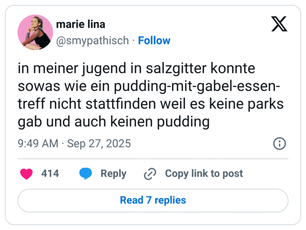 in meiner jugend in salzgitter konnte sowas wie ein pudding-mit-gabel-essen-treff nicht stattfinden weil es keine parks gab und auch keinen pudding