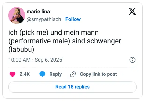 ich (pick me) und mein mann (performative male) sind schwanger (labubu)