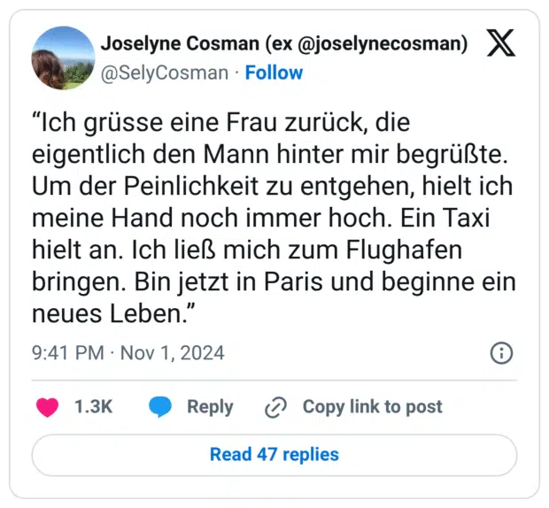 “Ich grüsse eine Frau zurück, die eigentlich den Mann hinter mir begrüßte. Um der Peinlichkeit zu entgehen, hielt ich meine Hand noch immer hoch. Ein Taxi hielt an. Ich ließ mich zum Flughafen bringen. Bin jetzt in Paris und beginne ein neues Leben.”