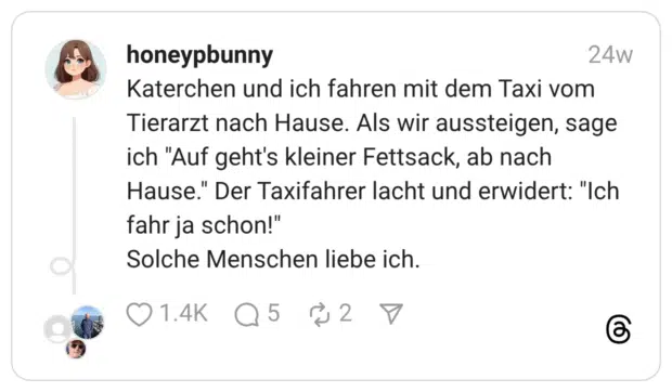 Katerchen und ich fahren mit dem Taxi vom Tierarzt nach Hause. Als wir aussteigen, sage ich "Auf geht's kleiner Fettsack, ab nach Hause." Der Taxifahrer lacht und erwidert: "Ich fahr ja schon!" Solche Menschen liebe ich.