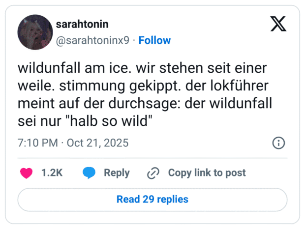 wildunfall am ice. wir stehen seit einer weile. stimmung gekippt. der lokführer meint auf der durchsage: der wildunfall sei nur "halb so wild"