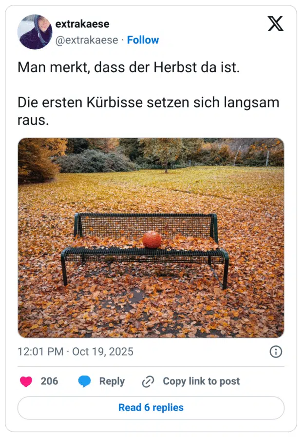 Man merkt, dass der Herbst da ist. Die ersten Kürbisse setzen sich langsam raus.