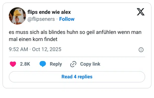 es muss sich als blindes huhn so geil anfühlen wenn man mal einen korn findet