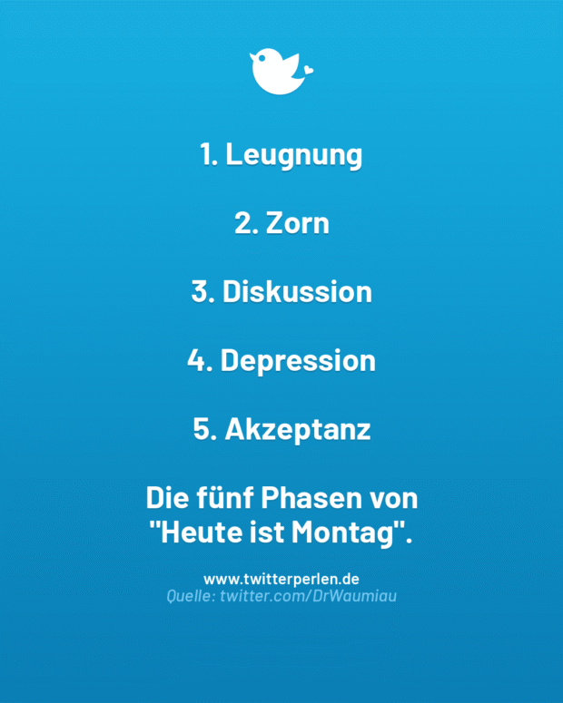 1. Leugnung
2. Zorn
3. Diskussion
4. Depression
5. Akzeptanz