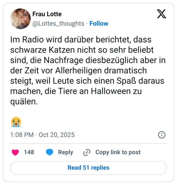 Im Radio wird darüber berichtet, dass schwarze Katzen nicht so sehr beliebt sind, die Nachfrage diesbezüglich aber in der Zeit vor Allerheiligen dramatisch steigt, weil Leute sich einen Spaß daraus machen, die Tiere an Halloween zu quälen.