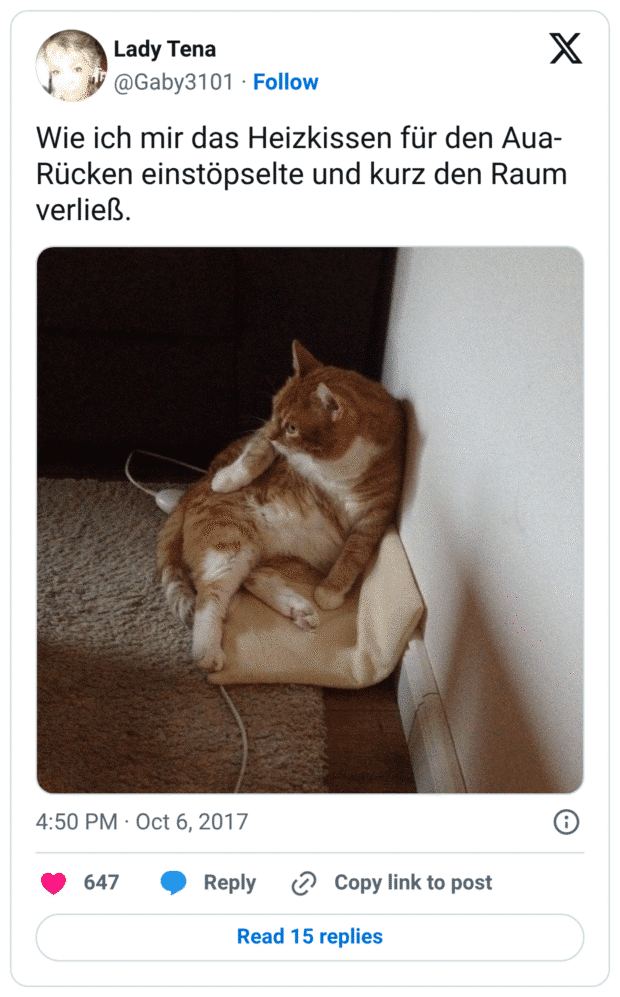 Wie ich mir das Heizkissen für den Aua-Rücken einstöpselte und kurz den Raum verließ.