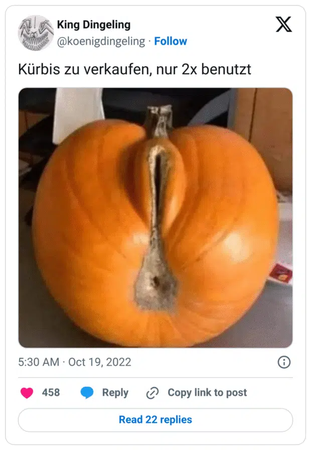 Kürbis zu verkaufen, nur 2x benutzt