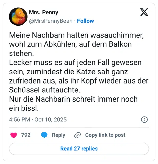 Meine Nachbarn hatten wasauchimmer, wohl zum Abkühlen, auf dem Balkon stehen. Lecker muss es auf jeden Fall gewesen sein, zumindest die Katze sah ganz zufrieden aus, als ihr Kopf wieder aus der Schüssel auftauchte. Nur die Nachbarin schreit immer noch ein bissl
