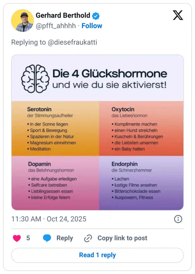 Die 4 Glückshormone