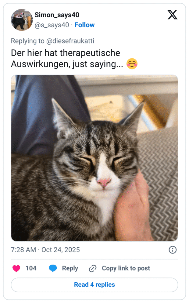 Der hier hat therapeutische Auswirkungen, just saying... ☺️