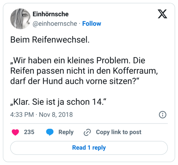 Beim Reifenwechsel. „Wir haben ein kleines Problem. Die Reifen passen nicht in den Kofferraum, darf der Hund auch vorne sitzen?" „Klar. Sie ist ja schon 14."