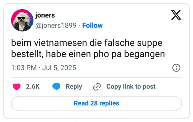 beim vietnamesen die falsche suppe bestellt, habe einen pho pa begangen
