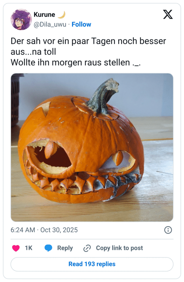 Der sah vor ein paar Tagen noch besser aus...na toll Wollte ihn morgen raus stellen ._.