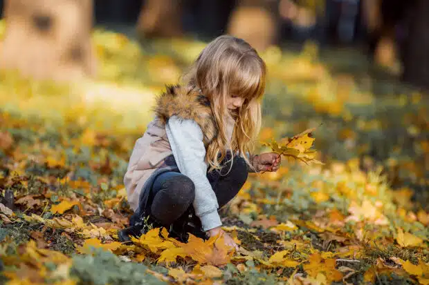 Ein Kind sammelt im Wald Blätter, die auf dem Boden liegen.