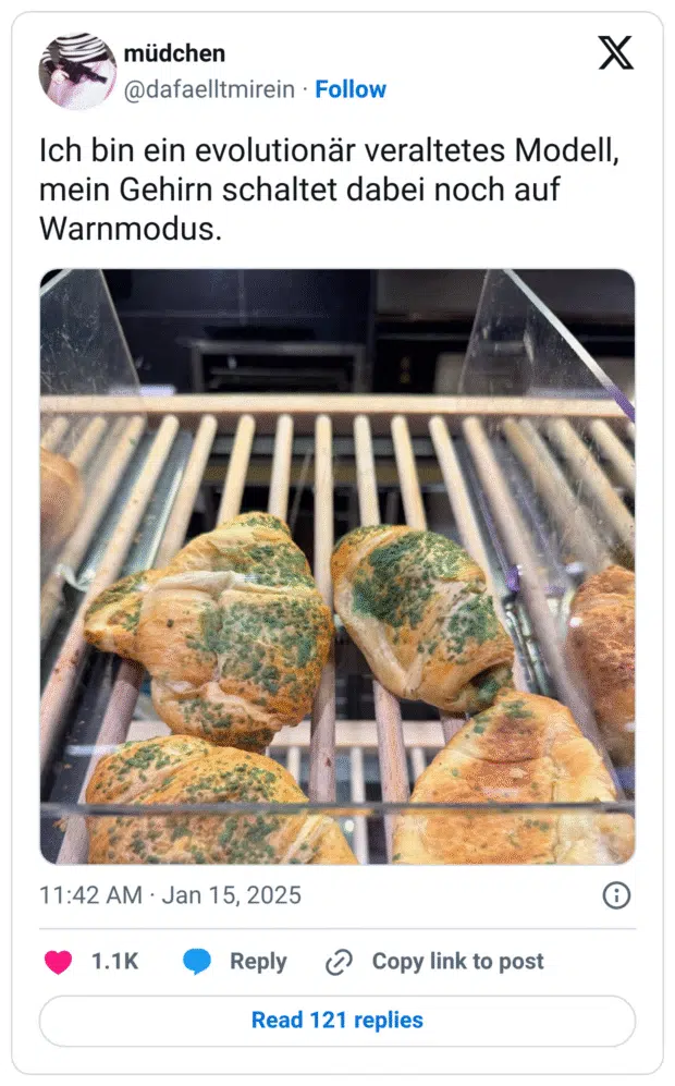Ich bin ein evolutionär veraltetes Modell, mein Gehirn schaltet dabei noch auf Warnmodus.