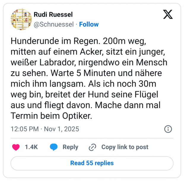 Hunderunde im Regen. 200m weg, mitten auf einem Acker, sitzt ein junger, weißer Labrador, nirgendwo ein Mensch zu sehen. Warte 5 Minuten und nähere mich ihm langsam. Als ich noch 30m weg bin, breitet der Hund seine Flügel aus und fliegt davon. Mache dann mal Termin beim Optiker.