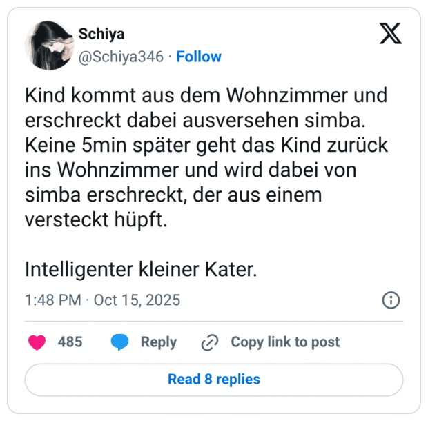 Kind kommt aus dem Wohnzimmer und erschreckt dabei ausversehen simba. Keine 5min später geht das Kind zurück ins Wohnzimmer und wird dabei von simba erschreckt, der aus einem versteckt hüpft. Intelligenter kleiner Kater.