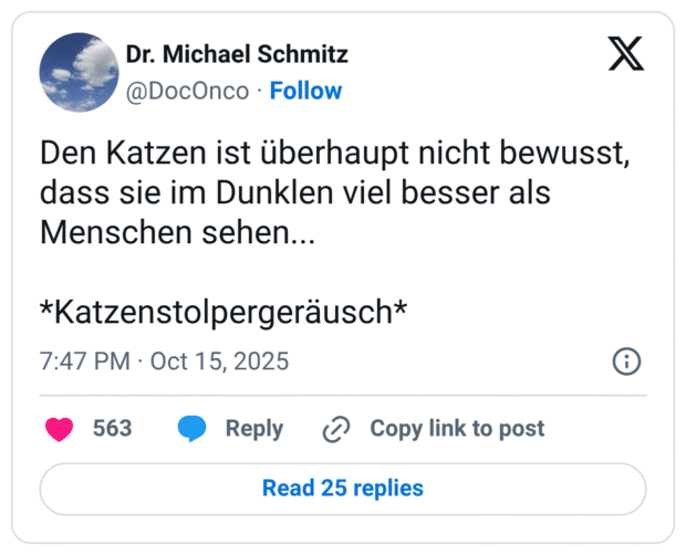 Den Katzen ist überhaupt nicht bewusst, dass sie im Dunklen viel besser als Menschen sehen... *Katzenstolpergeräusch*