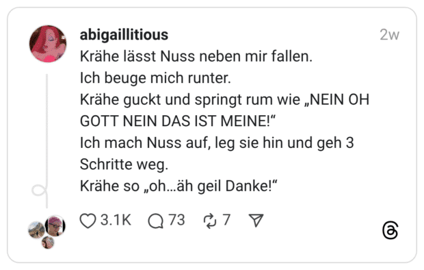 Krähe lässt Nuss neben mir fallen. Ich beuge mich runter. Krähe guckt und springt rum wie „NEIN OH GOTT NEIN DAS IST MEINE!“ Ich mach Nuss auf, leg sie hin und geh 3 Schritte weg. Krähe so „oh…äh geil Danke!“