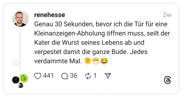 Genau 30 Sekunden, bevor ich die Tür für eine Kleinanzeigen-Abholung öffnen muss, seilt der Kater die Wurst seines Lebens ab und verpestet damit die ganze Bude. Jedes verdammte Mal. 🫠😷😂