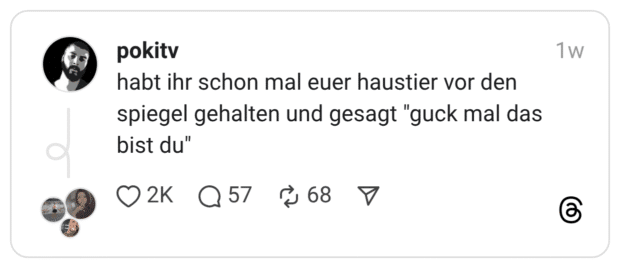 habt ihr schon mal euer haustier vor den spiegel gehalten und gesagt "guck mal das bist du"
