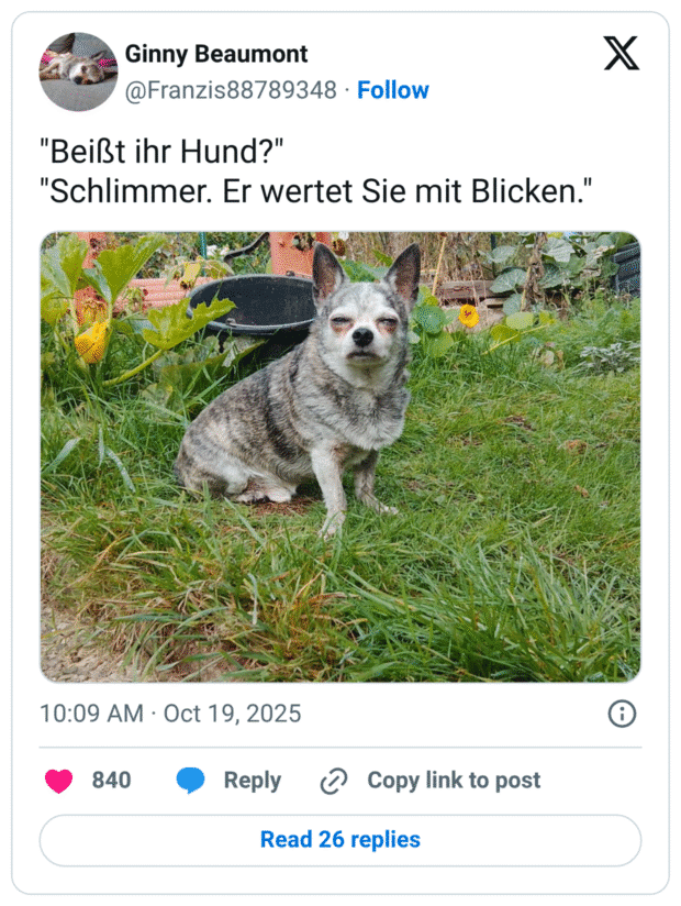 "Beißt ihr Hund?" "Schlimmer. Er wertet Sie mit Blicken."