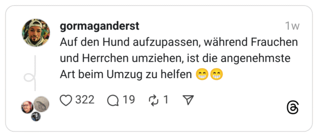 Auf den Hund aufzupassen, während Frauchen und Herrchen umziehen, ist die angenehmste Art beim Umzug zu helfen 😁😁