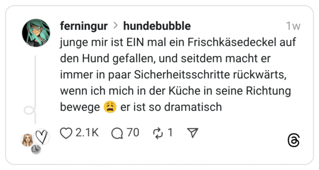 junge mir ist EIN mal ein Frischkäsedeckel auf den Hund gefallen, und seitdem macht er immer in paar Sicherheitsschritte rückwärts, wenn ich mich in der Küche in seine Richtung bewege 😩 er ist so dramatisch