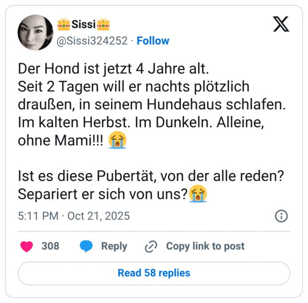 Der Hond ist jetzt 4 Jahre alt. Seit 2 Tagen will er nachts plötzlich draußen, in seinem Hundehaus schlafen. Im kalten Herbst. Im Dunkeln. Alleine, ohne Mami!!! 😭 Ist es diese Pubertät, von der alle reden? Separiert er sich von uns?😭