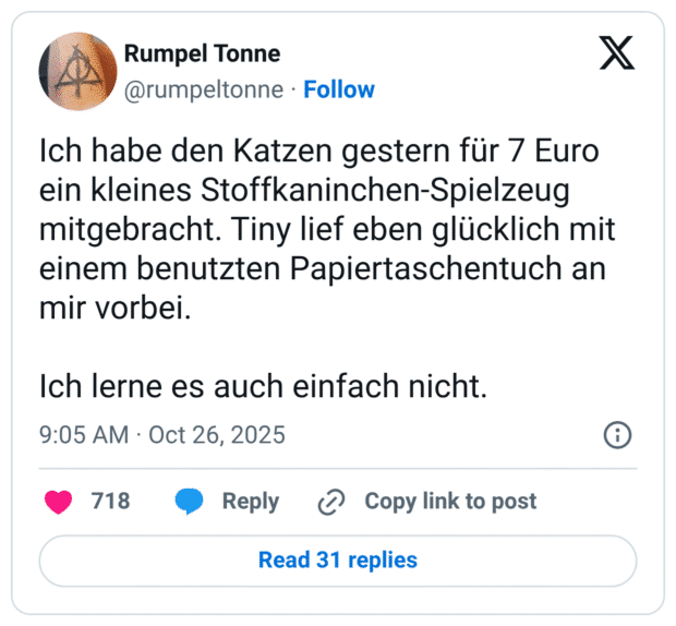 Ich habe den Katzen gestern für 7 Euro ein kleines Stoffkaninchen-Spielzeug mitgebracht. Tiny lief eben glücklich mit einem benutzten Papiertaschentuch an mir vorbei. Ich lerne es auch einfach nicht.